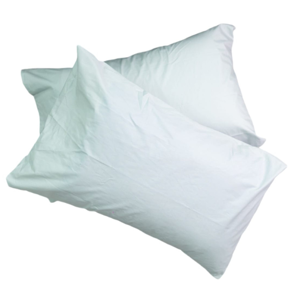 Duck Egg 100% Cotton 200 Thread Count 2 Pack Standard Pillowcase