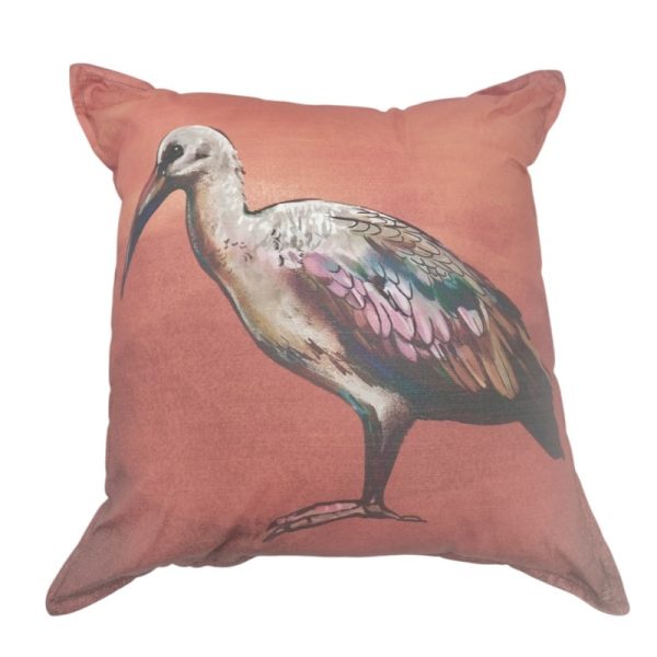 Hadeda Scatter Cushion 50x50cm