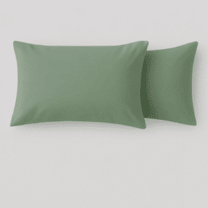 Premium Microfiber 120gsm Seafoam Green 2 Pack Standard Pillowcase