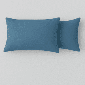 Premium Microfiber 120gsm Blue 2 Pack Standard Pillowcase